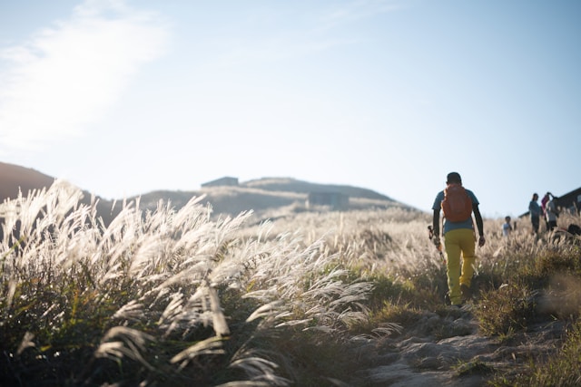 person hiking outdoors energised nature wellness